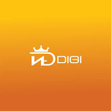 Neddigi